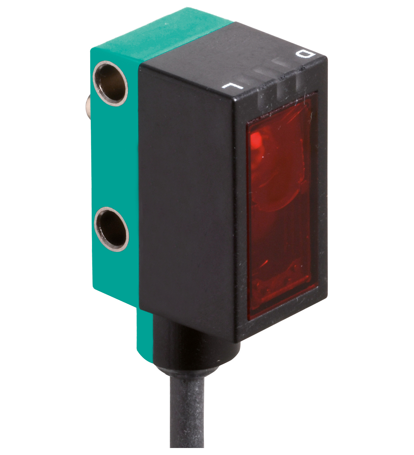 OBD1000-R101-2EP-IO-0,3M-V31