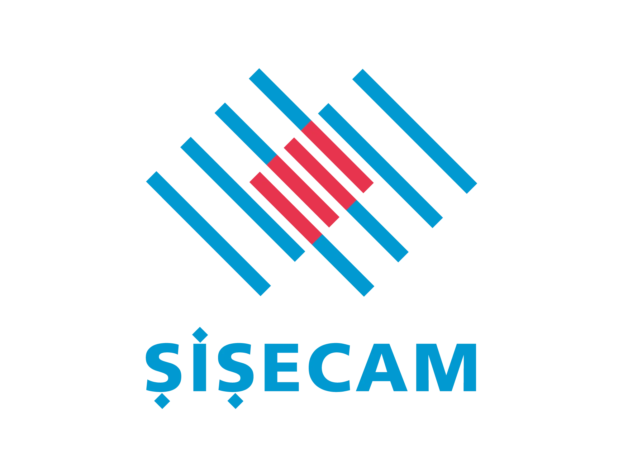 Şişecam
